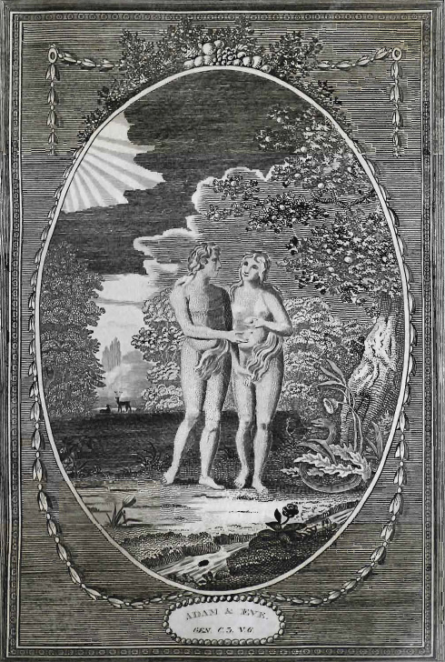 Close-up of Adam and Eve on the cover of the Teal Family Bible